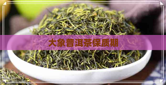 大象普洱茶保质期