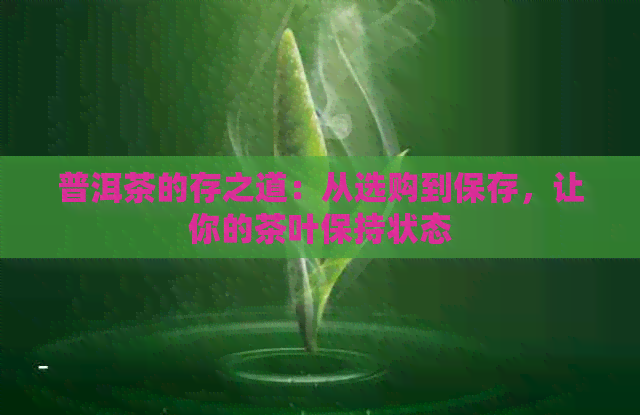 普洱茶的存之道：从选购到保存，让你的茶叶保持状态