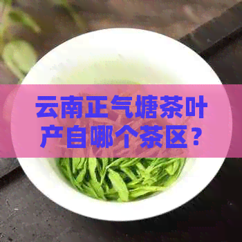 云南正气塘茶叶产自哪个茶区？