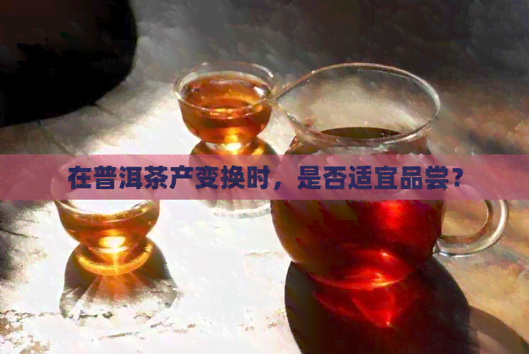 在普洱茶产变换时，是否适宜品尝？