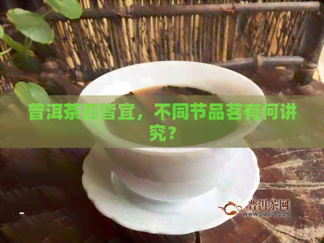 普洱茶四皆宜，不同节品茗有何讲究？