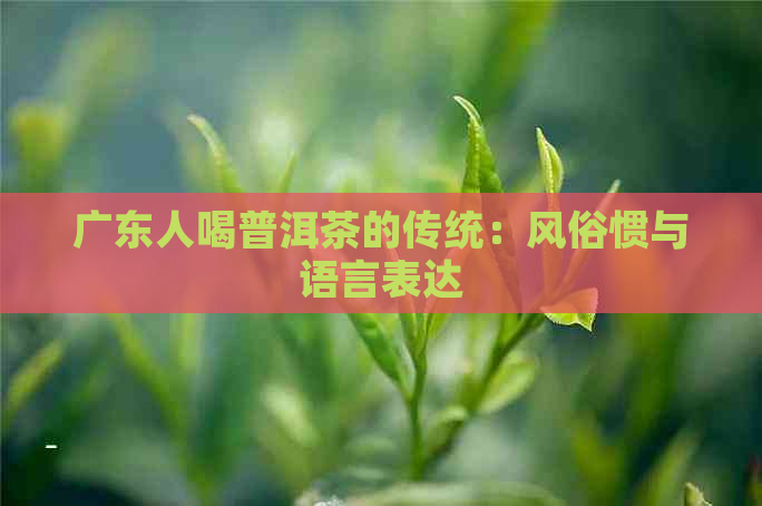 广东人喝普洱茶的传统：风俗惯与语言表达