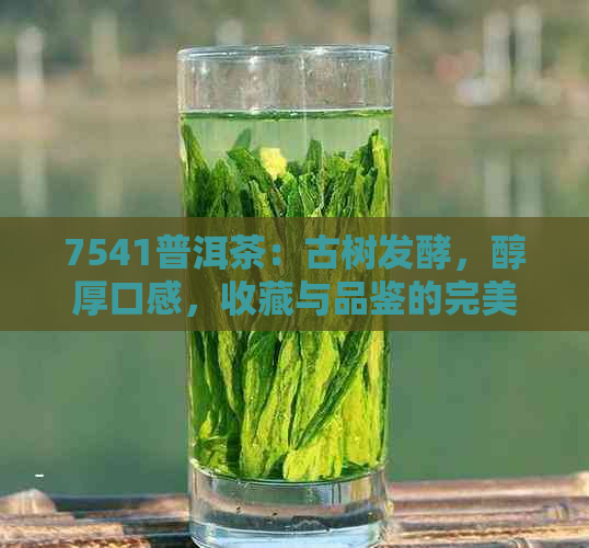 7541普洱茶：古树发酵，醇厚口感，收藏与品鉴的完美结合