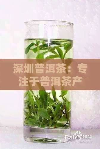 深圳普洱茶：专注于普洱茶产业链的创新与服务