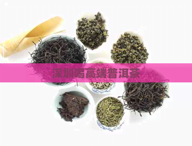 深圳喝高端普洱茶