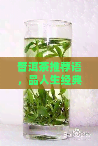 普洱茶推荐语，品人生经典，20字简短发朋友圈