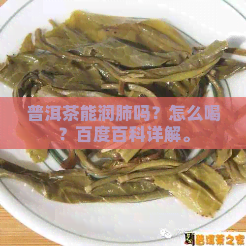 普洱茶能润肺吗？怎么喝？百度百科详解。