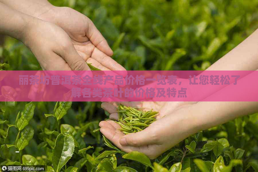 丽茶坊普洱茶全线产品价格一览表，让您轻松了解各类茶叶的价格及特点