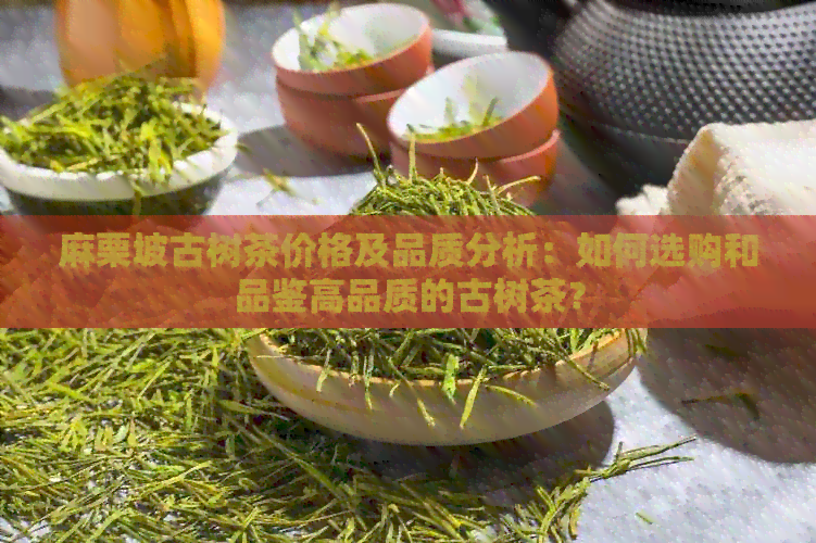 麻栗坡古树茶价格及品质分析：如何选购和品鉴高品质的古树茶？