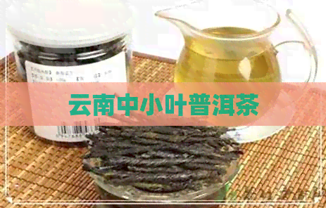 云南中小叶普洱茶