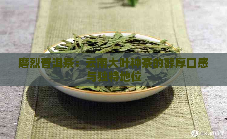 磨烈普洱茶：云南大叶种茶的醇厚口感与独特地位