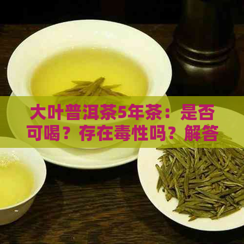 大叶普洱茶5年茶：是否可喝？存在性吗？解答疑问。