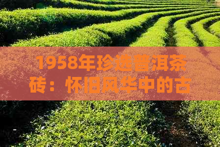 1958年珍选普洱茶砖：怀旧风华中的古树韵味