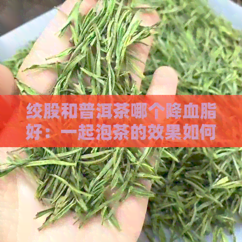 绞股和普洱茶哪个降血脂好：一起泡茶的效果如何？