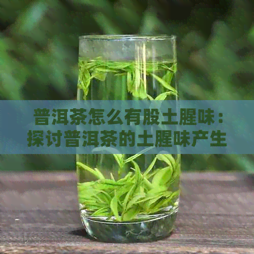 普洱茶怎么有股土腥味：探讨普洱茶的土腥味产生原因及相关问题