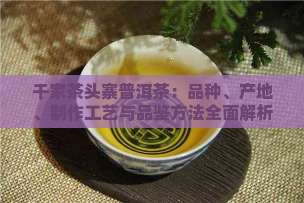 千家茶头寨普洱茶：品种、产地、制作工艺与品鉴方法全面解析