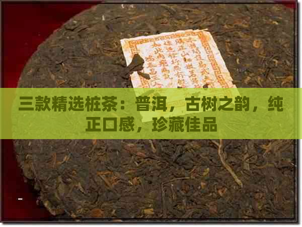 三款精选桩茶：普洱，古树之韵，纯正口感，珍藏佳品