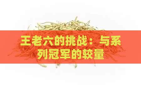 王老六的挑战：与系列冠军的较量