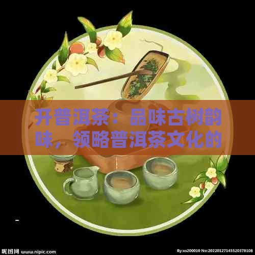 开普洱茶：品味古树韵味，领略普洱茶文化的独特魅力