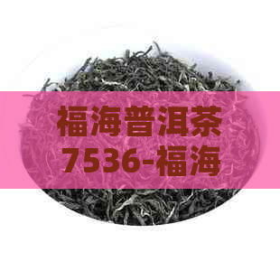 福海普洱茶7536-福海普洱茶7576价格