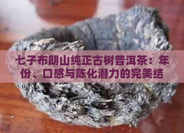 七子布朗山纯正古树普洱茶：年份、口感与陈化潜力的完美结合