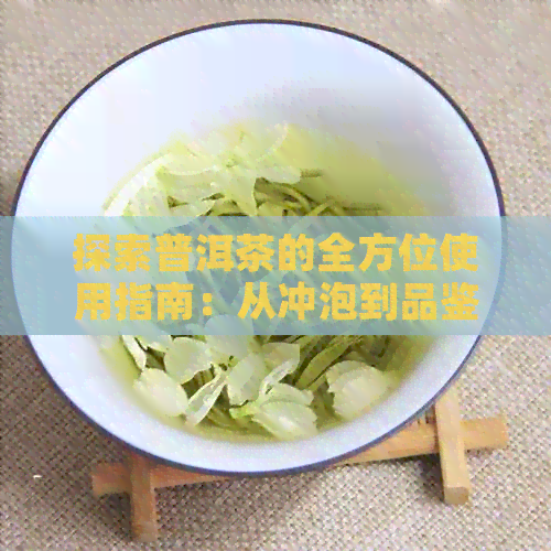 探索普洱茶的全方位使用指南：从冲泡到品鉴，每个环节都有窍门