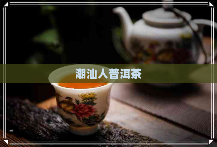 潮汕人普洱茶