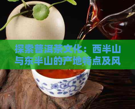 探索普洱茶文化：西半山与东半山的产地特点及风味差异