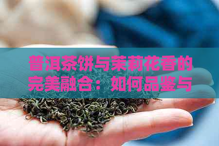 普洱茶饼与茉莉花香的完美融合：如何品鉴与冲泡，让您尽享清香美味