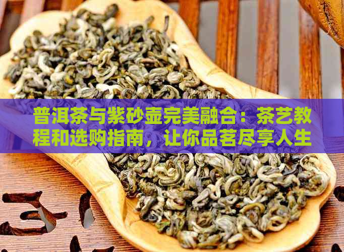 普洱茶与紫砂壶完美融合：茶艺教程和选购指南，让你品茗尽享人生