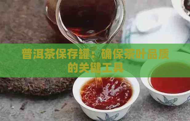 普洱茶保存罐：确保茶叶品质的关键工具