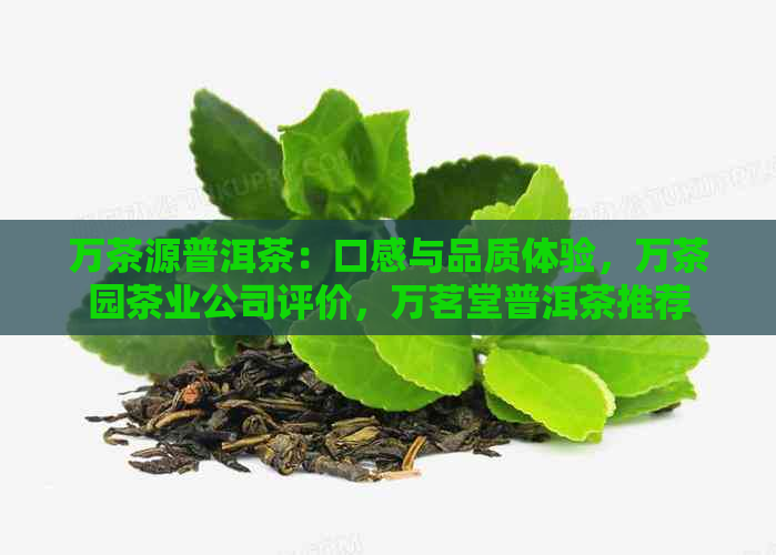 万茶源普洱茶：口感与品质体验，万茶园茶业公司评价，万茗堂普洱茶推荐