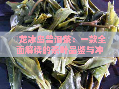 犇龙冰岛普洱茶：一款全面解读的茶叶品鉴与冲泡指南