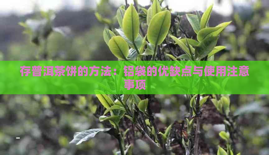 存普洱茶饼的方法：铝袋的优缺点与使用注意事项