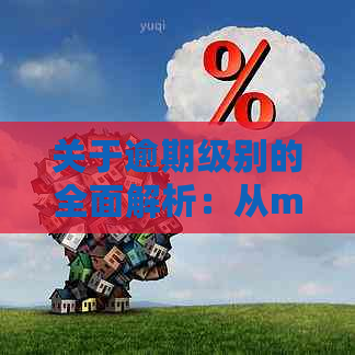 关于逾期级别的全面解析：从m级别到应对策略，一次性解决您的所有疑问