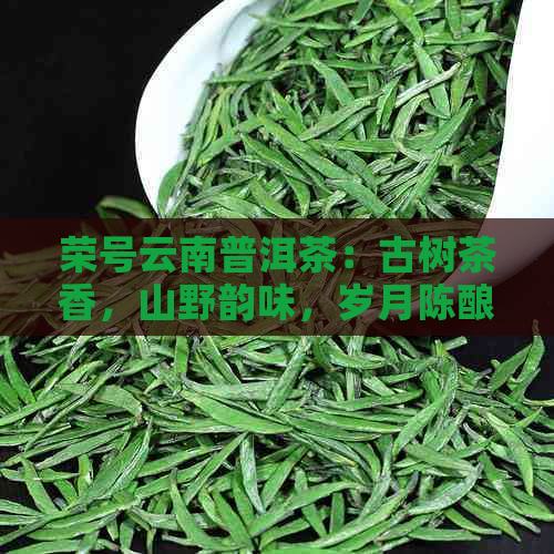 荣号云南普洱茶：古树茶香，山野韵味，岁月陈酿的品质之选