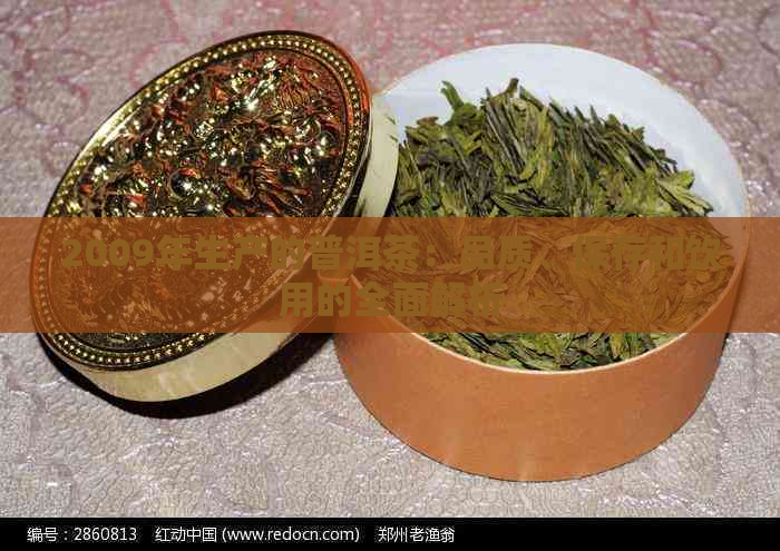 2009年生产的普洱茶：品质、保存和饮用的全面解析