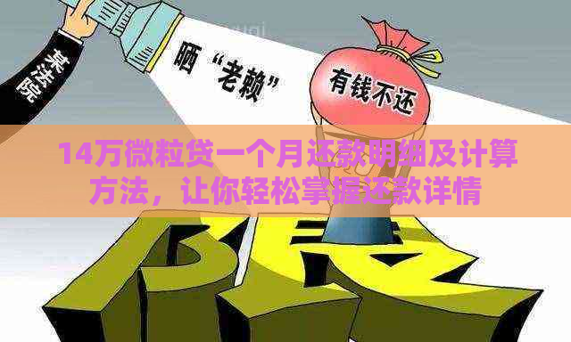 14万微粒贷一个月还款明细及计算方法，让你轻松掌握还款详情