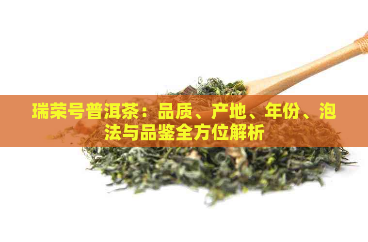 瑞荣号普洱茶：品质、产地、年份、泡法与品鉴全方位解析