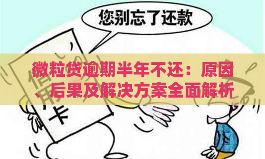 微粒贷逾期半年不还：原因、后果及解决方案全面解析