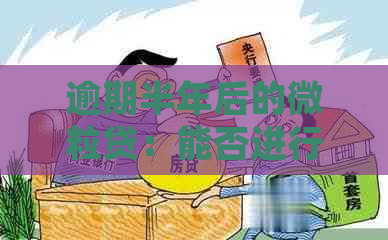 逾期半年后的微粒贷：能否进行分期还款处理？