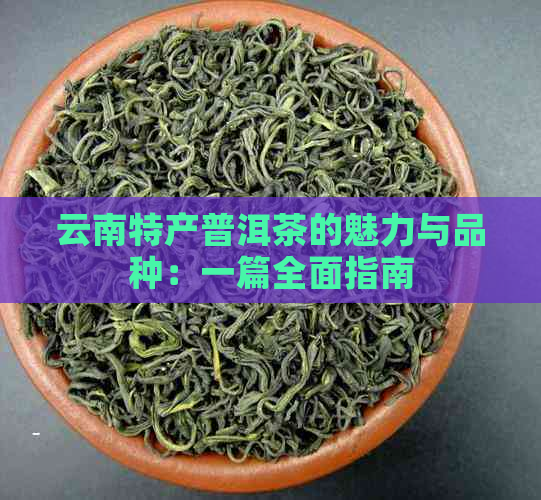 云南特产普洱茶的魅力与品种：一篇全面指南