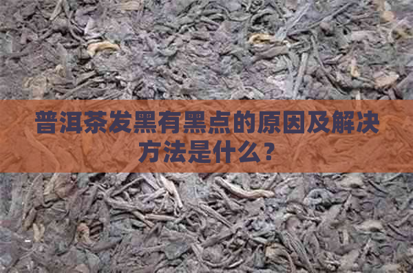 普洱茶发黑有黑点的原因及解决方法是什么？