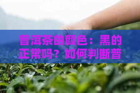 普洱茶的颜色：黑的正常吗？如何判断普洱茶是否优质？