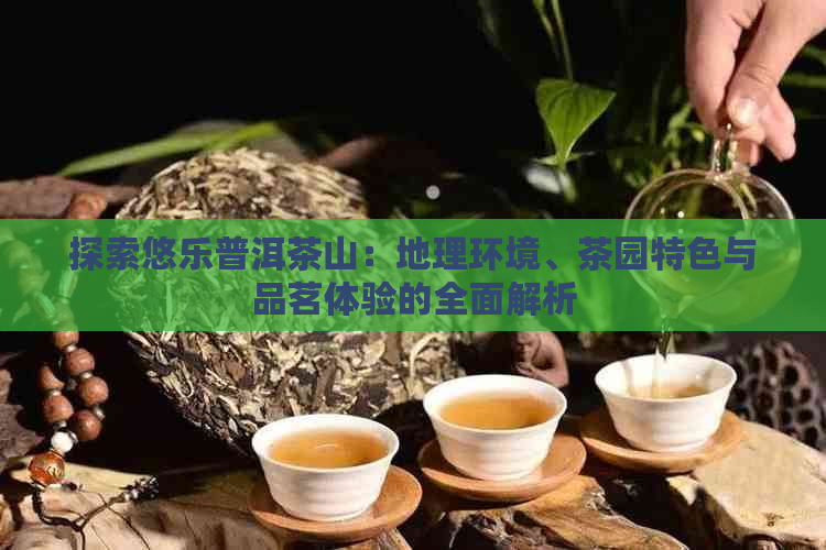 探索悠乐普洱茶山：地理环境、茶园特色与品茗体验的全面解析