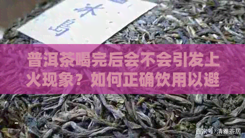 普洱茶喝完后会不会引发上火现象？如何正确饮用以避免上火问题？