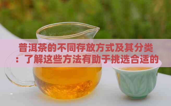 普洱茶的不同存放方式及其分类：了解这些方法有助于挑选合适的茶品