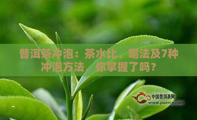 普洱茶冲泡：茶水比、喝法及7种冲泡方法，你掌握了吗？