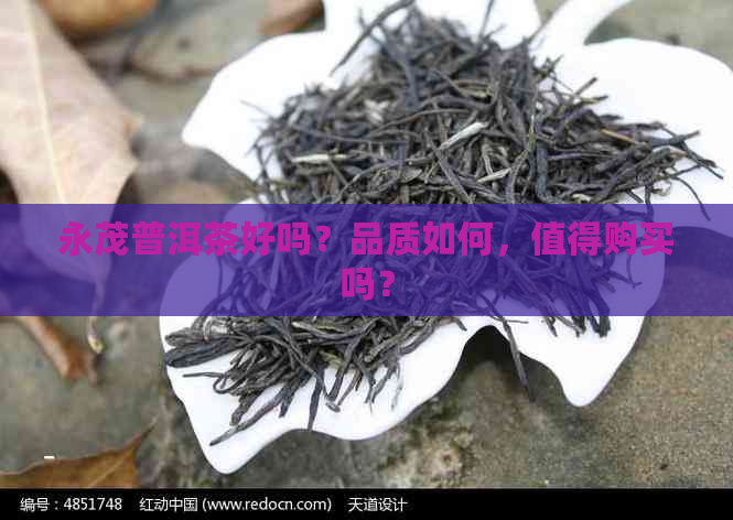 永茂普洱茶好吗？品质如何，值得购买吗？