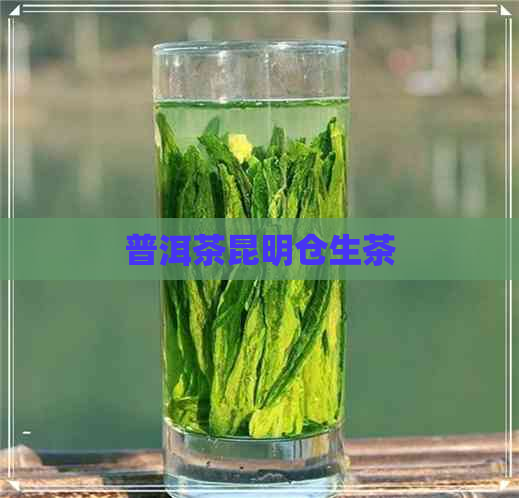 普洱茶昆明仓生茶